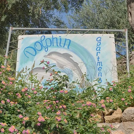 Dolphin * Palaiokastritsa