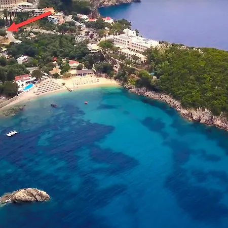 Dolphin * Paleokastritsa