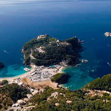 Dolphin Paleokastritsa